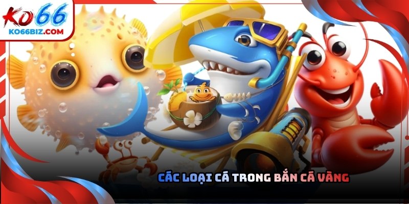 Không phải cá nào cũng nên bắn ngay khi xuất hiện