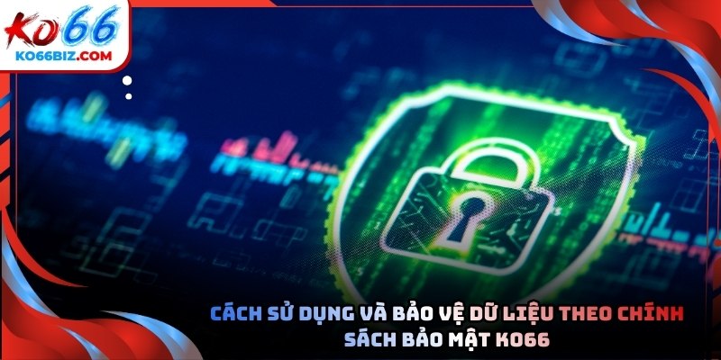 Cách sử dụng và bảo vệ dữ liệu theo Chính sách bảo mật tại Ko66