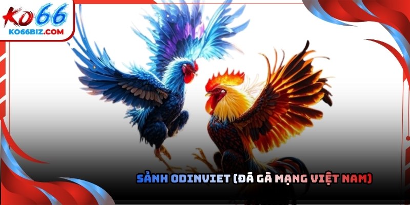 Những đối tác chiến lược của sảnh đá gà Ko66