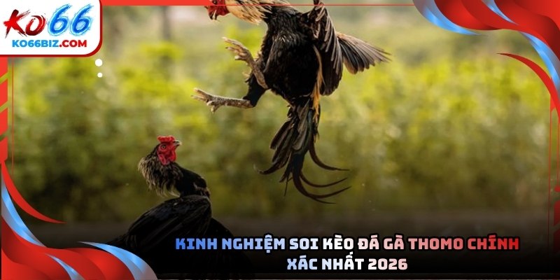 Người chơi cần trang bị kiến thức để nâng cao tỷ lệ chiến thắng của bản thân