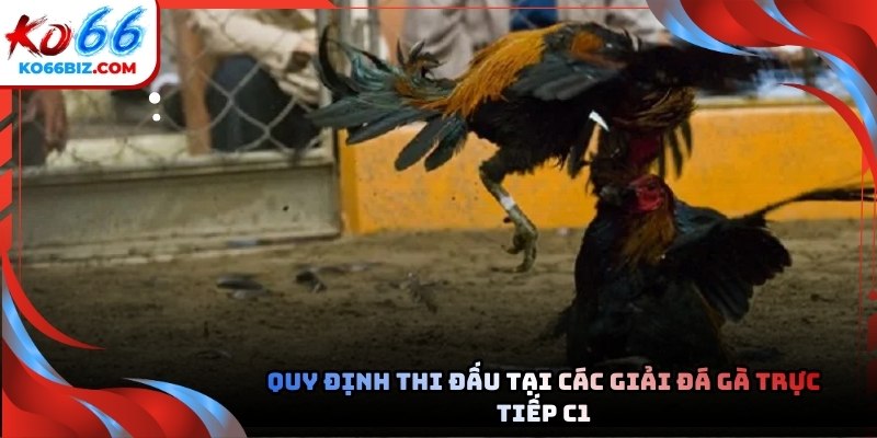 Mỗi trận tranh tài đều diễn ra dựa trên những quy tắc vô cùng nghiêm ngặt