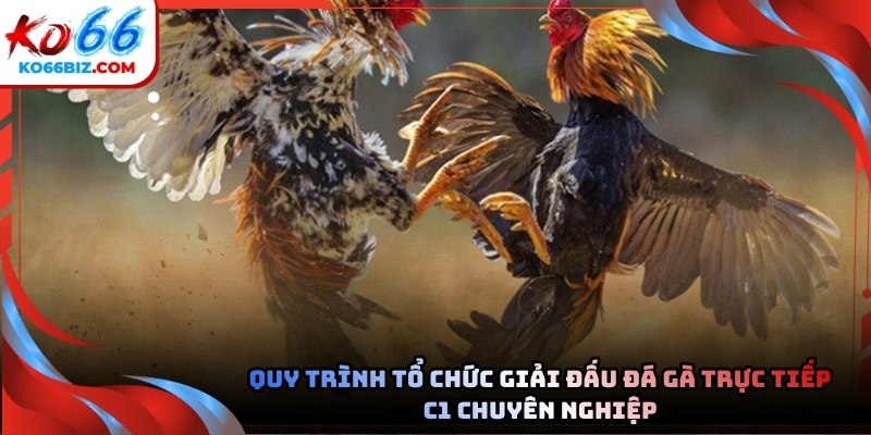 Các giải đấu được vận hành chuyên nghiệp để phục vụ người hâm mộ toàn cầu