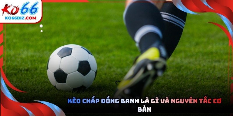 Trước khi soi kèo, người chơi cần hiểu chính xác khái niệm kèo chấp đồng banh