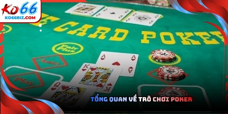 Poker có nhiều biến thể nhưng đều dựa trên những nguyên tắc chung