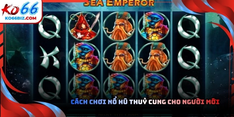 Bảng trả thưởng hiển thị rõ giá trị các biểu tượng biển