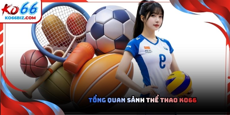 Tổng quan sảnh thể thao Ko66 cho tân thủ